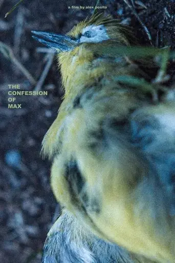 the-confession-of-max-2020