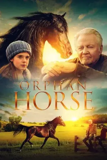 orphan-horse-2018