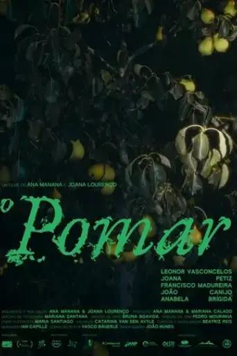 o-pomar-2024