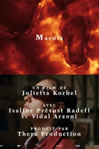 macula-2023