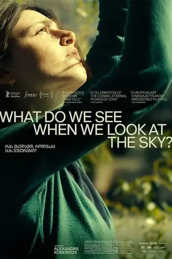 what-do-we-see-when-we-look-at-the-sky-2021