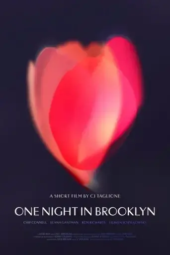 one-night-in-brooklyn-2025
