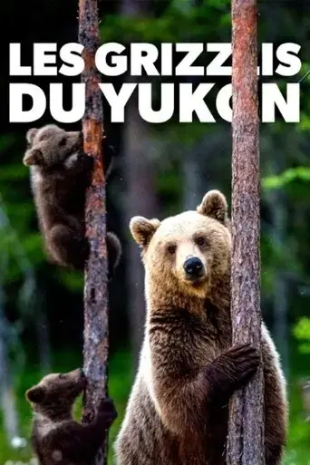 les-grizzlis-du-yukon-2021