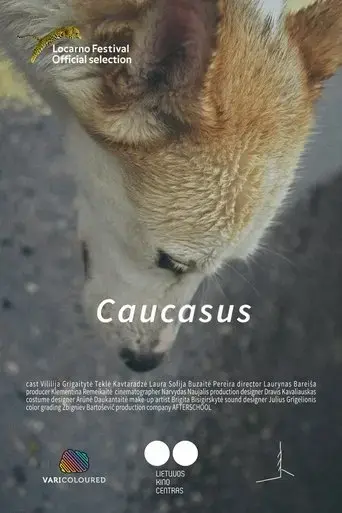 kaukazas-2019