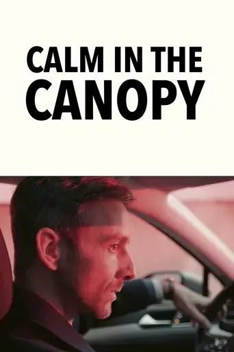 calm-in-the-canopy-2024