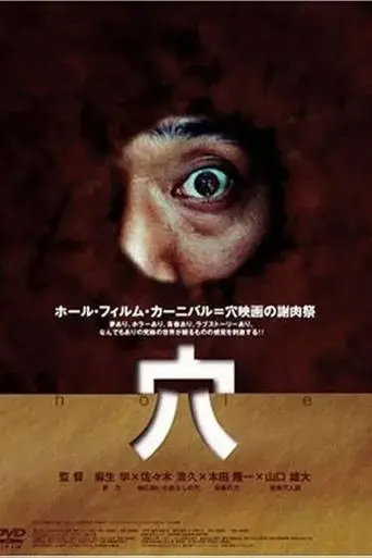 hole-2004