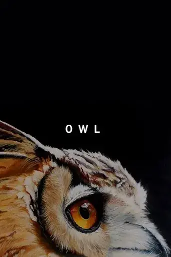 owl-2019