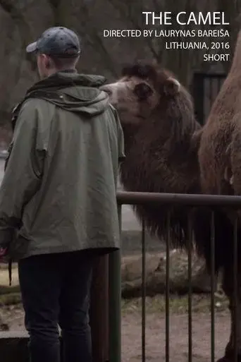 the-camel-2016