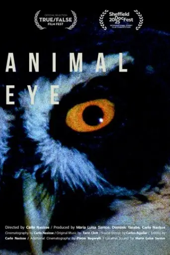animal-eye-2025