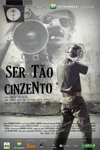 ser-tao-cinzento-2011