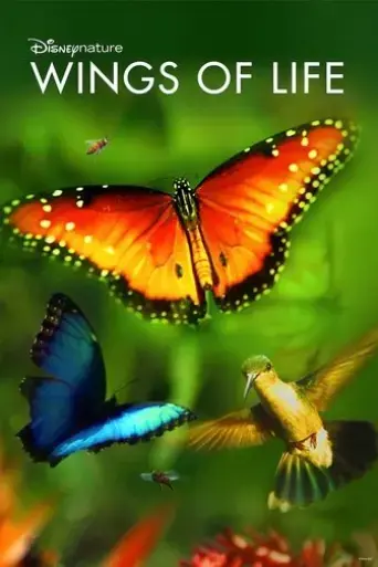 disneynature-wings-of-life-2011