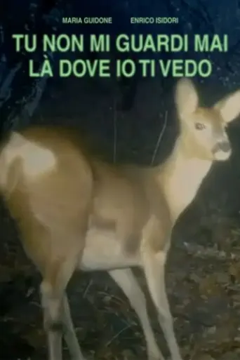 TU NON GUARDI MAI LA DOVE IO TI VEDO (2025)