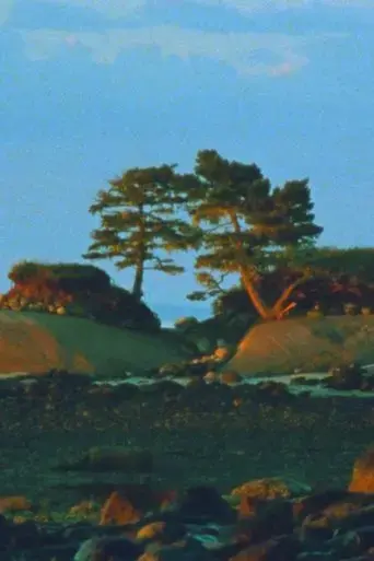 two-trees-2024