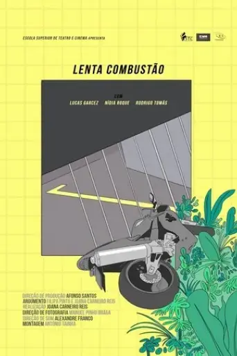 lenta-combustao-2017