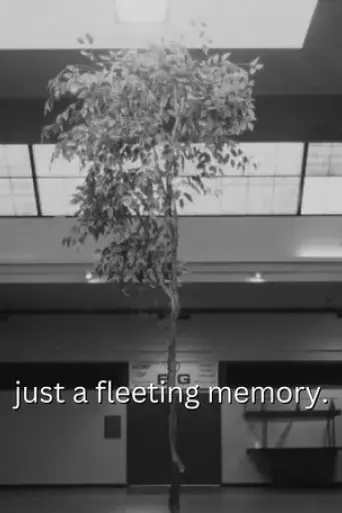 just-a-fleeting-memory-2024