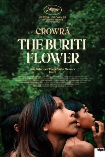the-buriti-flower-2024