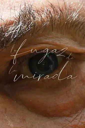 lo-fugaz-de-la-mirada-2024