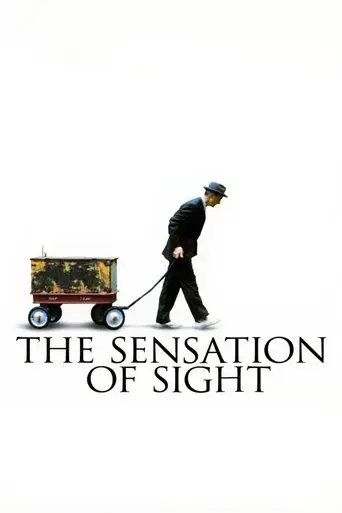 the-sensation-of-sight-2006