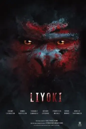 liyoki-2020