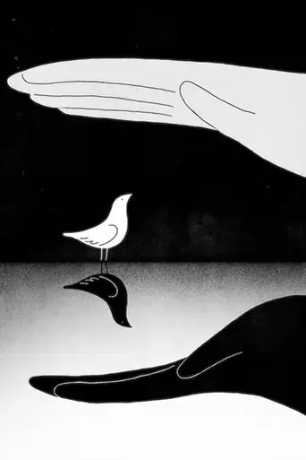 bird-shadow-2025