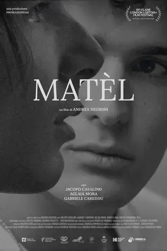matel-2025