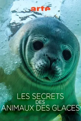 les-secrets-des-animaux-des-glaces-2017