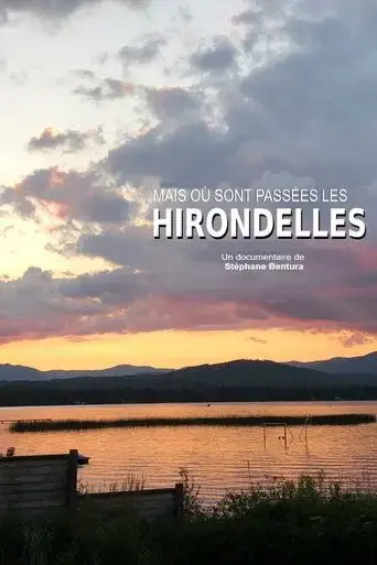 ou-sont-passees-les-hirondelles-2020