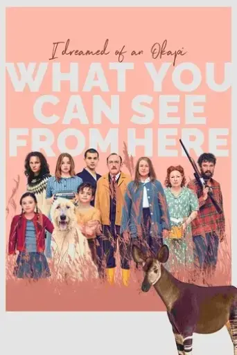 what-you-can-see-from-here-2022