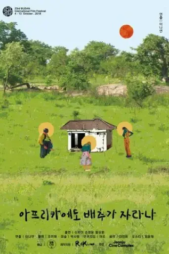 do-cabbages-grow-in-africa-2018