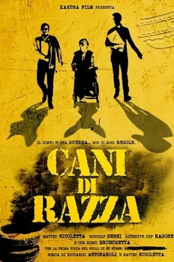 cani-di-razza-2017