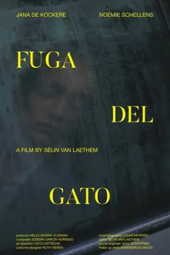 fuga-del-gato-2024