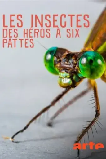 insekten-superhelden-auf-sechs-beinen-2017