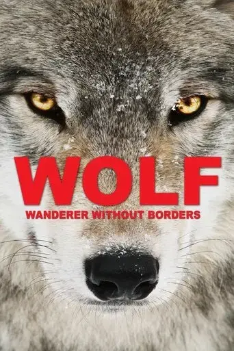 wolf-2022