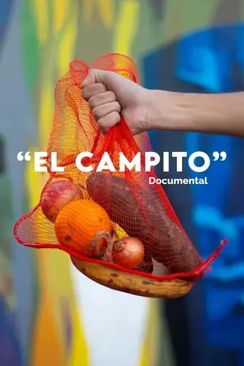 z4-el-campito-2023