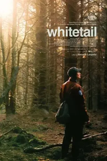 whitetail-2025