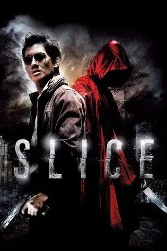 slice-2009
