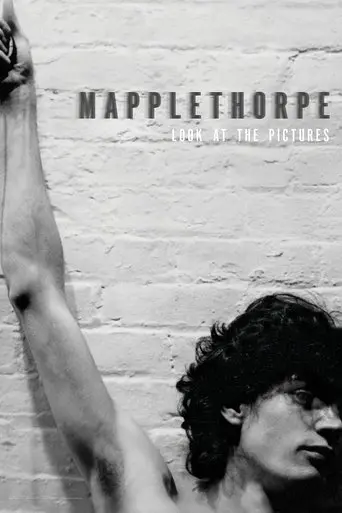 mapplethorpe-look-at-the-pictures-2016