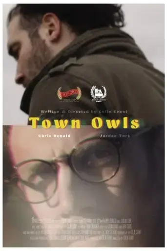 town-owls-2025
