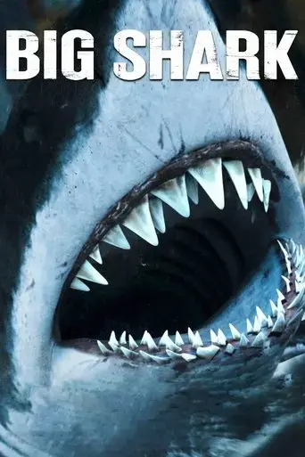 big-shark-2023