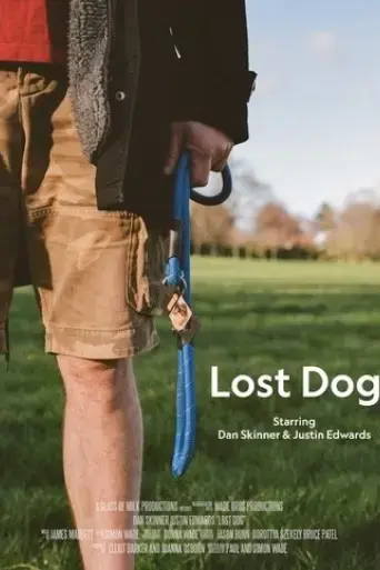 lost-dog-2025