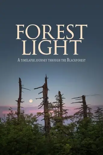 forest-light-2021