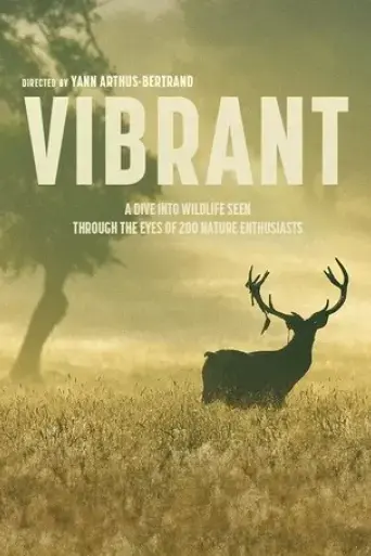 vibrant-2023