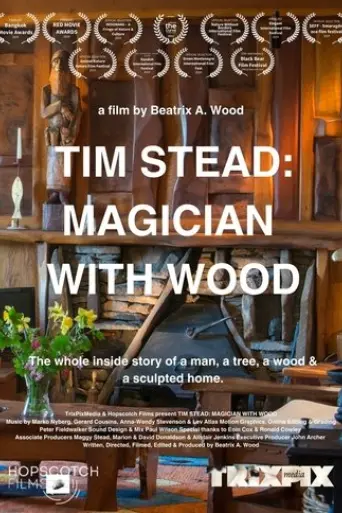 tim-stead-magician-with-wood-2024