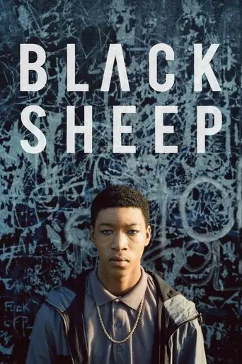 black-sheep-2018