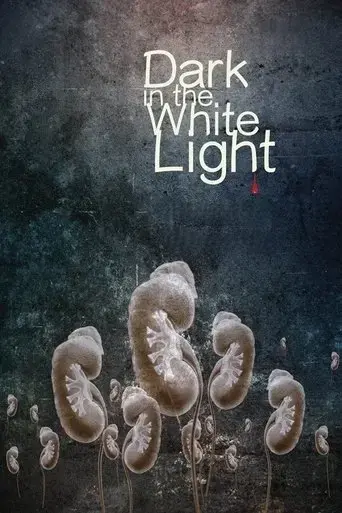 dark-in-the-white-light-2015
