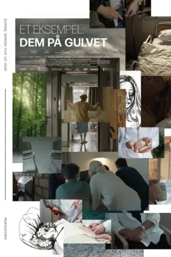 et-eksempel-dem-pa-gulvet-2022