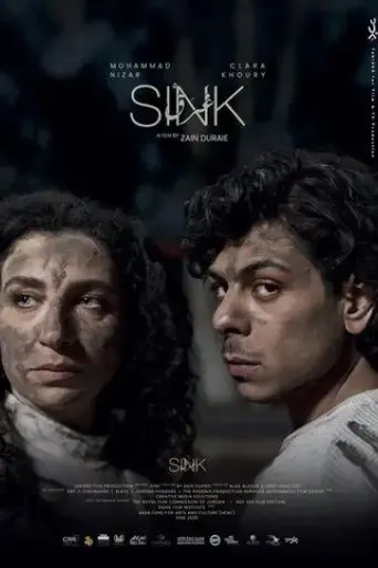 sink-2025