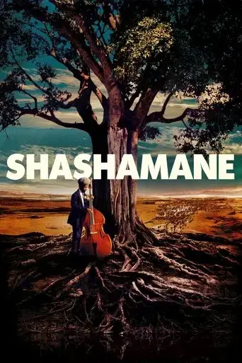 shashamane-2016