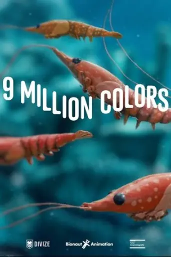 9-million-colors-2025