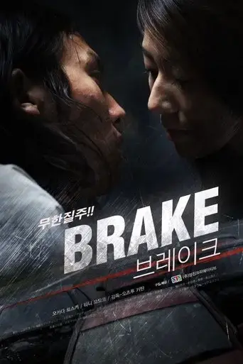 brake-2009